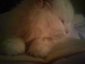 311650_10151119675671281_2092125306_n